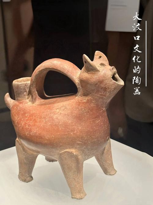 山东省泰安市大汶口遗址文物特点:大汶口文化是中国黄河流域重要的新